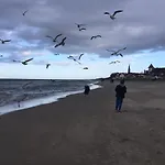 Domek letniskowy Błękit