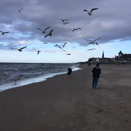 Domek letniskowy Błękit