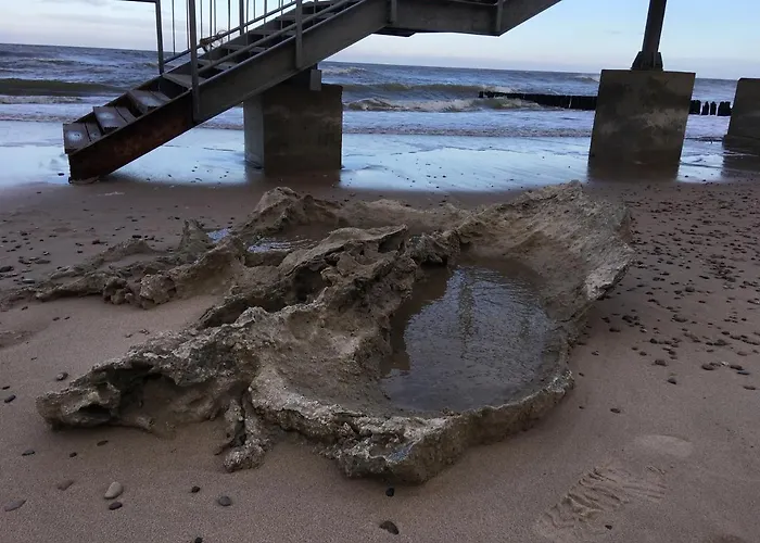 Blekit Orman Evi Sarbinowo